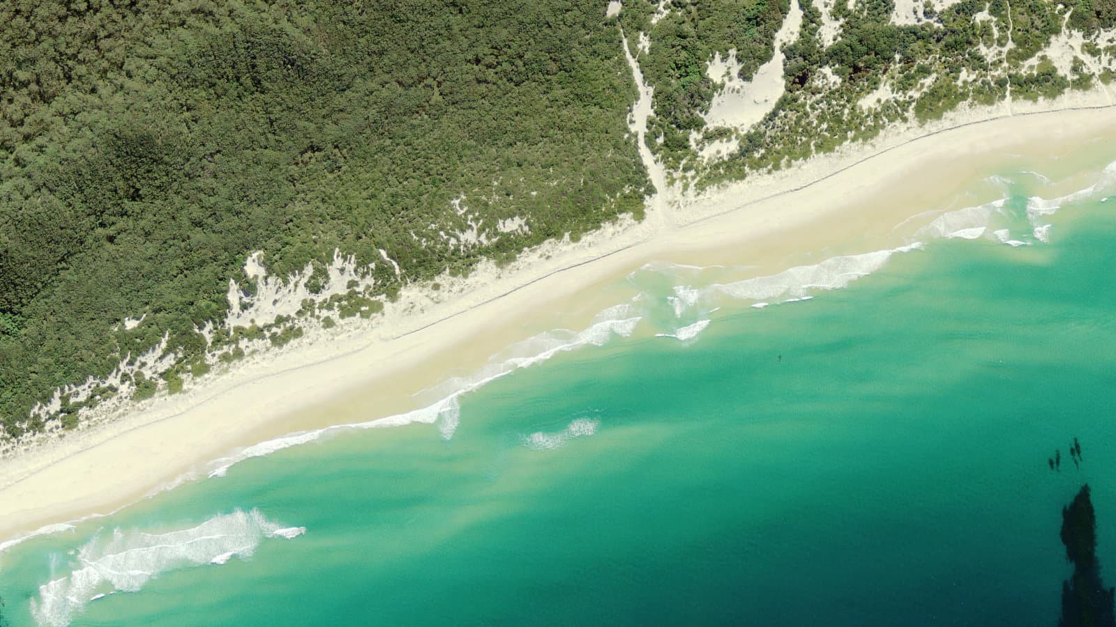 Treachery Beach, Mid North Coast