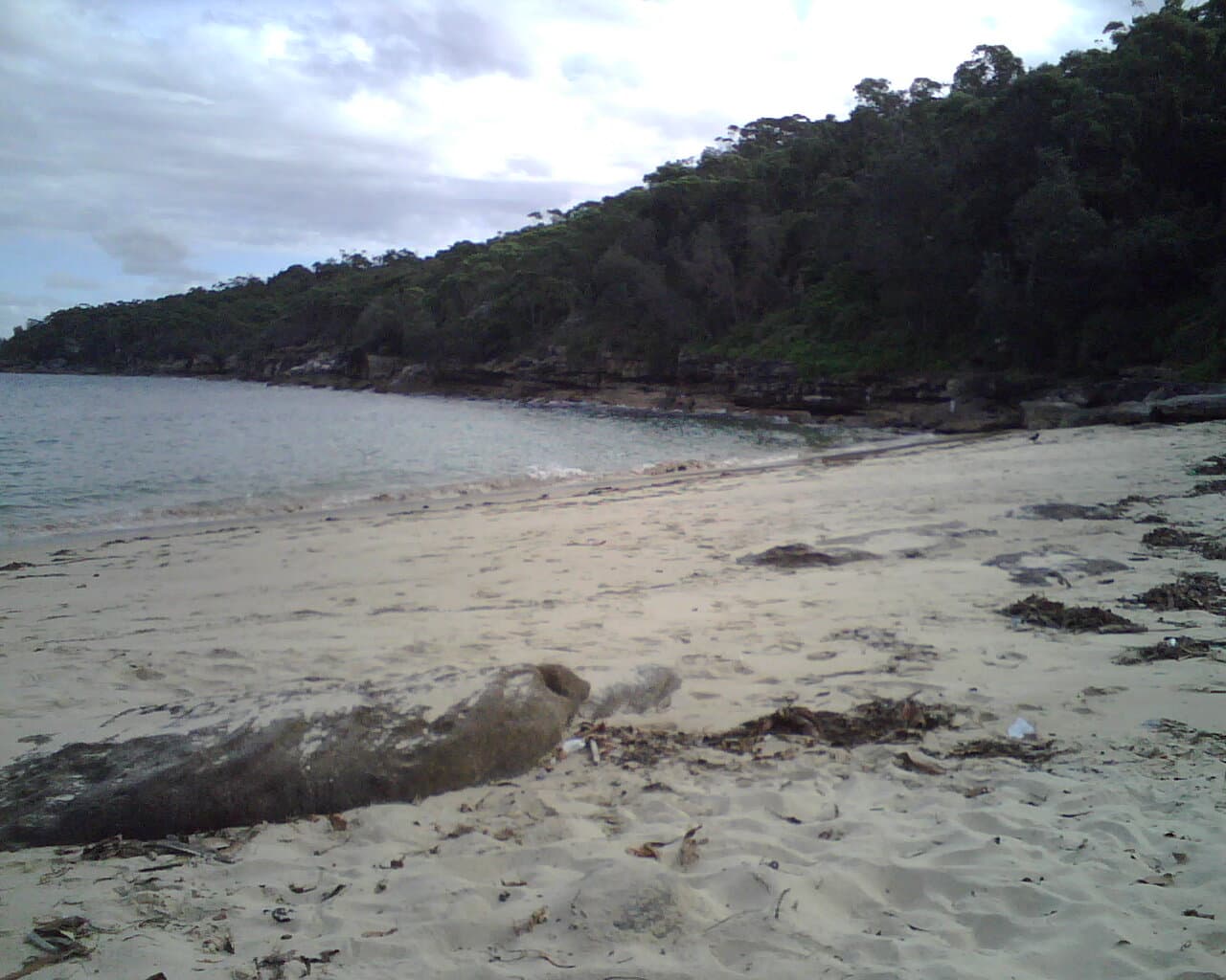 Obelisk Beach, Sydney